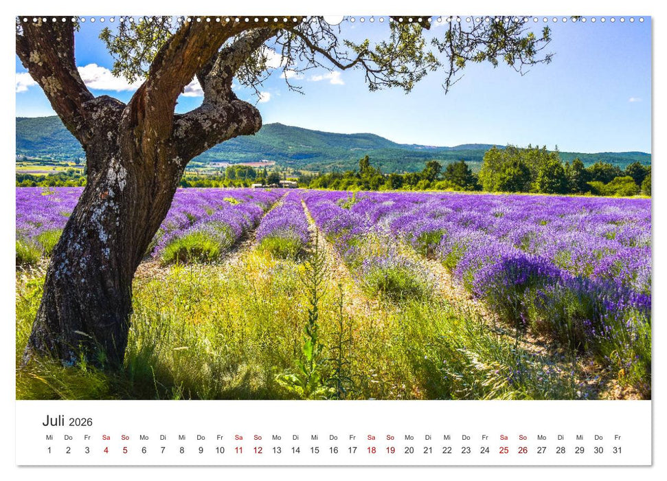 Träume aus Lavendel, Provence in Rosa bis Lila (CALVENDO Premium Wandkalender 2026)