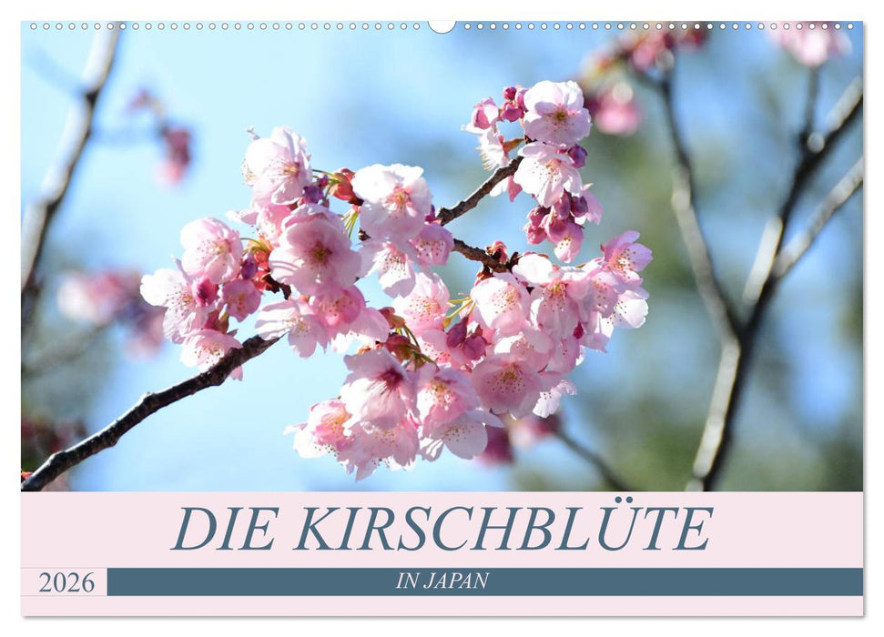 Die Kirschblüte in Japan (CALVENDO Wandkalender 2026)