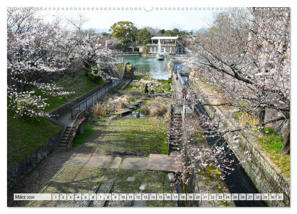 Die Kirschblüte in Japan (CALVENDO Wandkalender 2026)