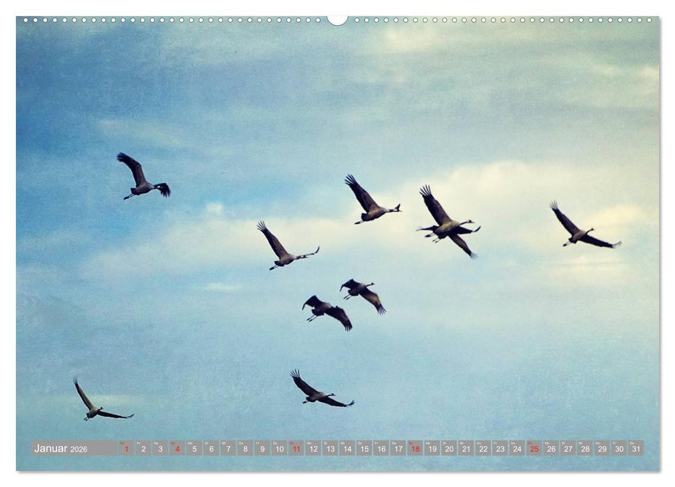 KranichRomantik (CALVENDO Premium Wandkalender 2026)
