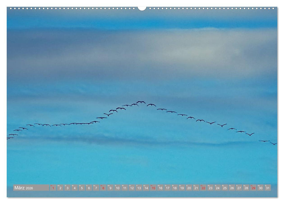 KranichRomantik (CALVENDO Premium Wandkalender 2026)