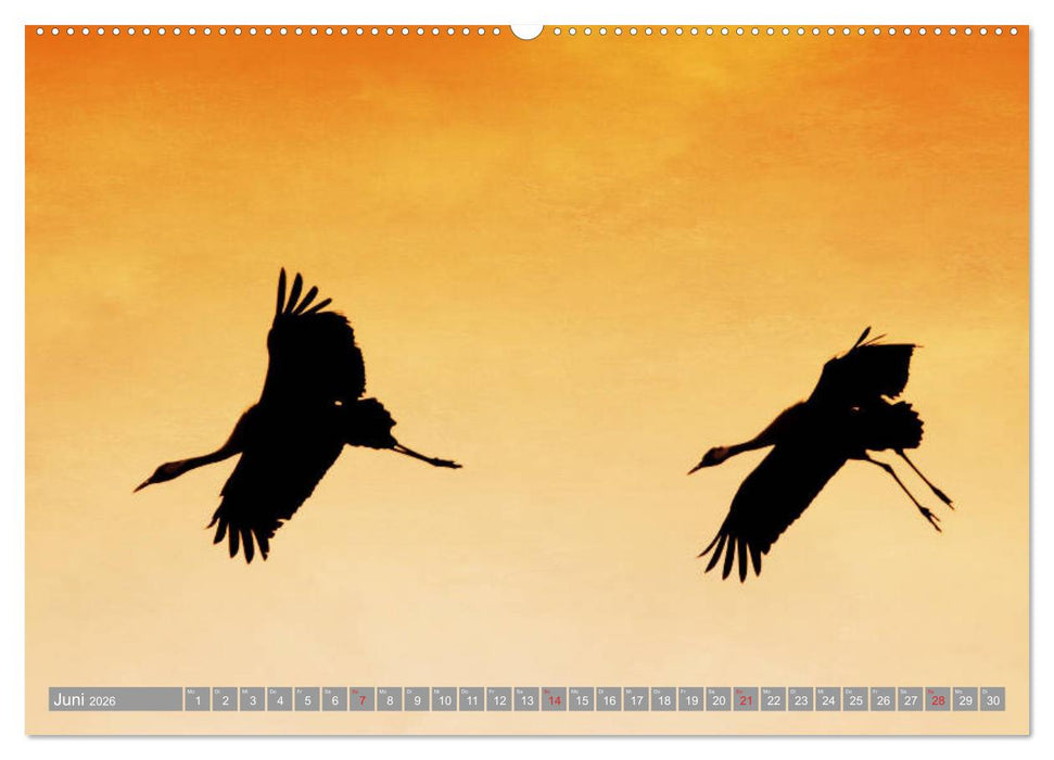 KranichRomantik (CALVENDO Premium Wandkalender 2026)