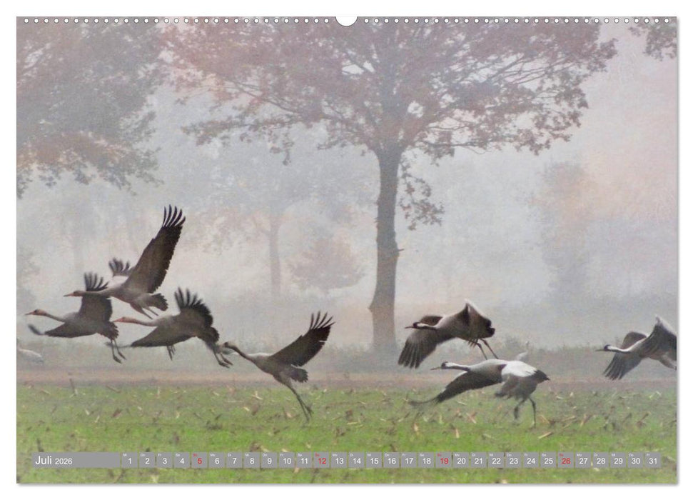 KranichRomantik (CALVENDO Premium Wandkalender 2026)
