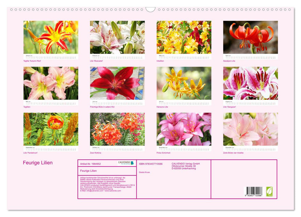 Feurige Lilien (CALVENDO Wandkalender 2026)