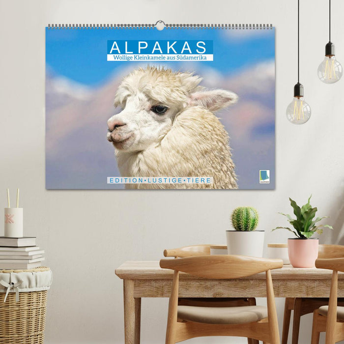 Alpakas: Wollige Kleinkamele aus Südamerika - Edition lustige Tiere (CALVENDO Wandkalender 2026)