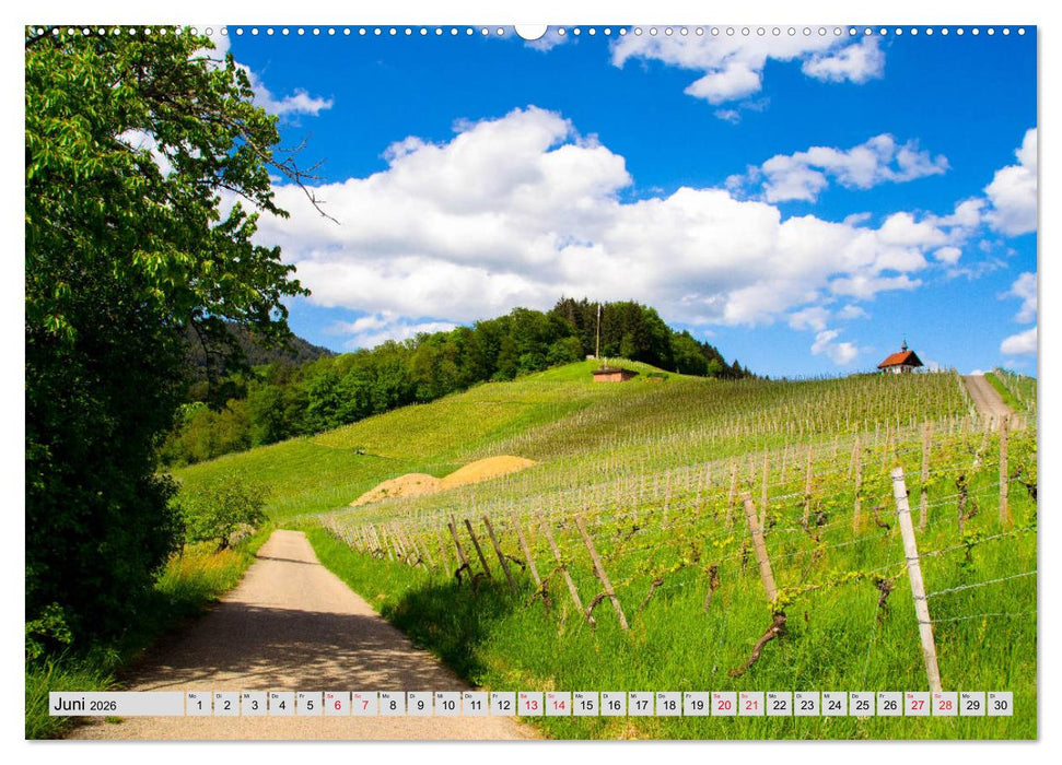 Zauberhaftes Kinzigtal (CALVENDO Premium Wandkalender 2026)