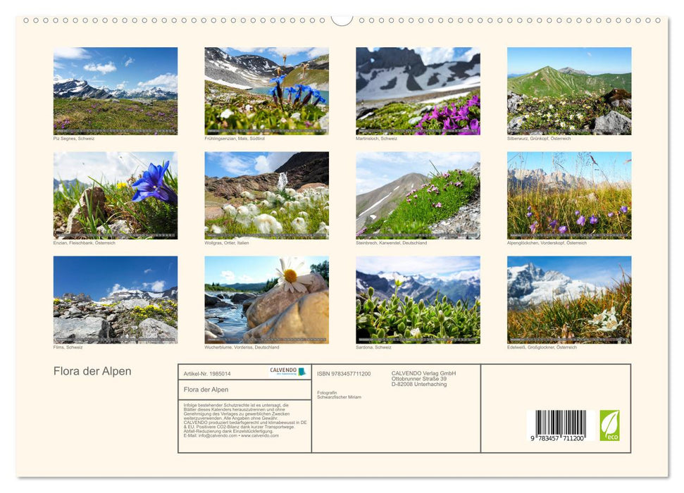 Flora der Alpen (CALVENDO Premium Wandkalender 2026)