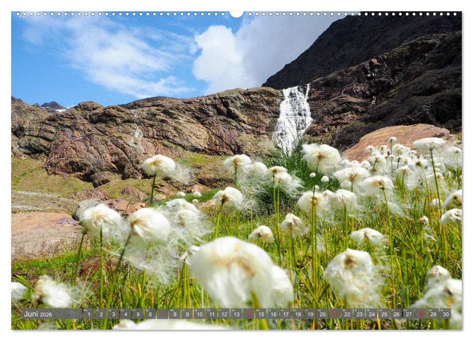 Flora der Alpen (CALVENDO Premium Wandkalender 2026)