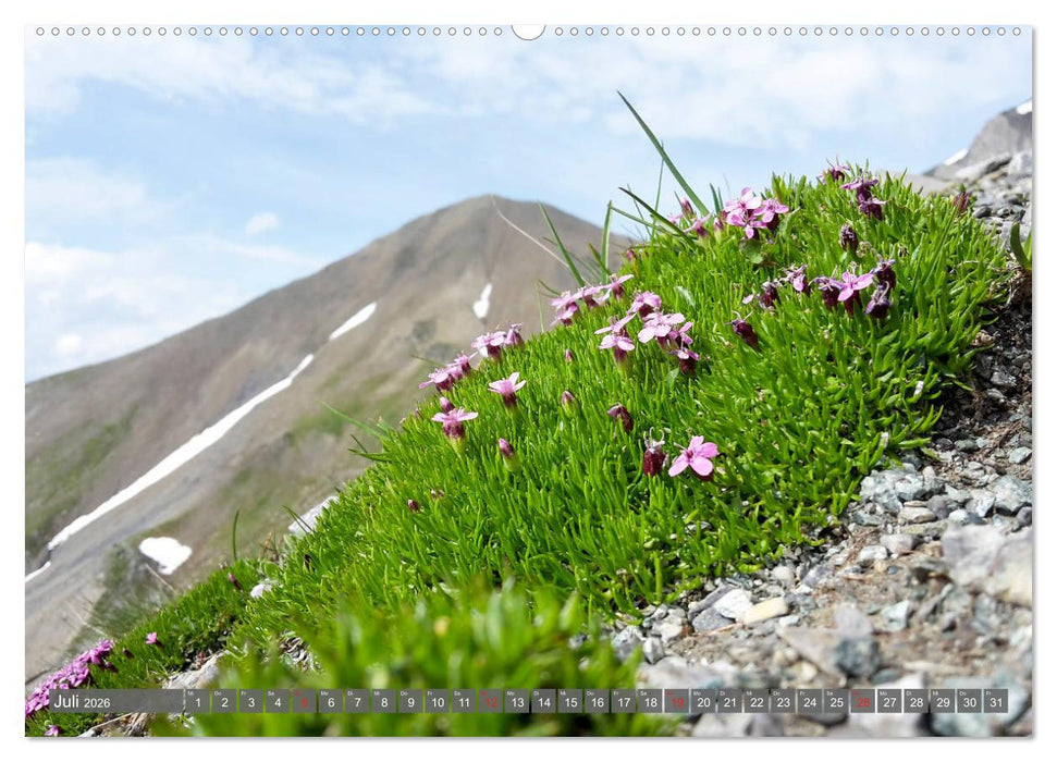 Flora der Alpen (CALVENDO Premium Wandkalender 2026)