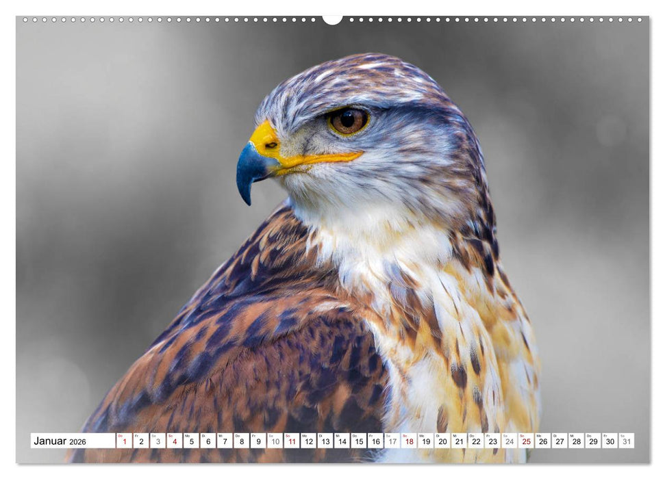 Erfolgreiche Jäger (CALVENDO Wandkalender 2026)