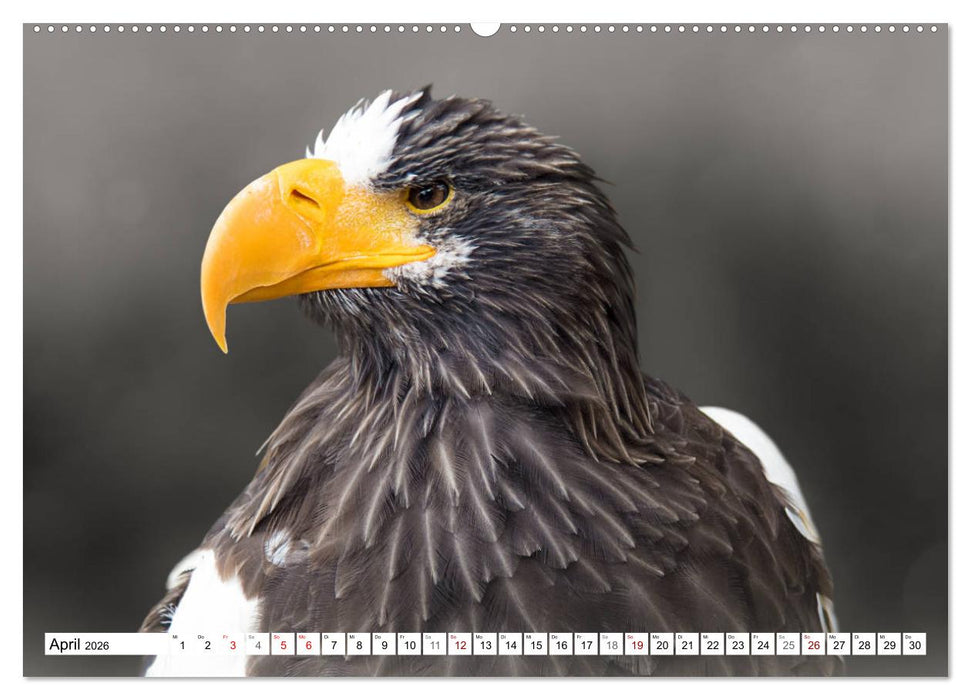 Erfolgreiche Jäger (CALVENDO Wandkalender 2026)