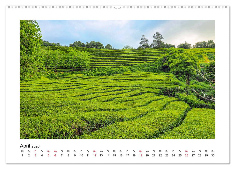 Sao Miguel - Die ganze Vielfalt der Azoren (CALVENDO Premium Wandkalender 2026)
