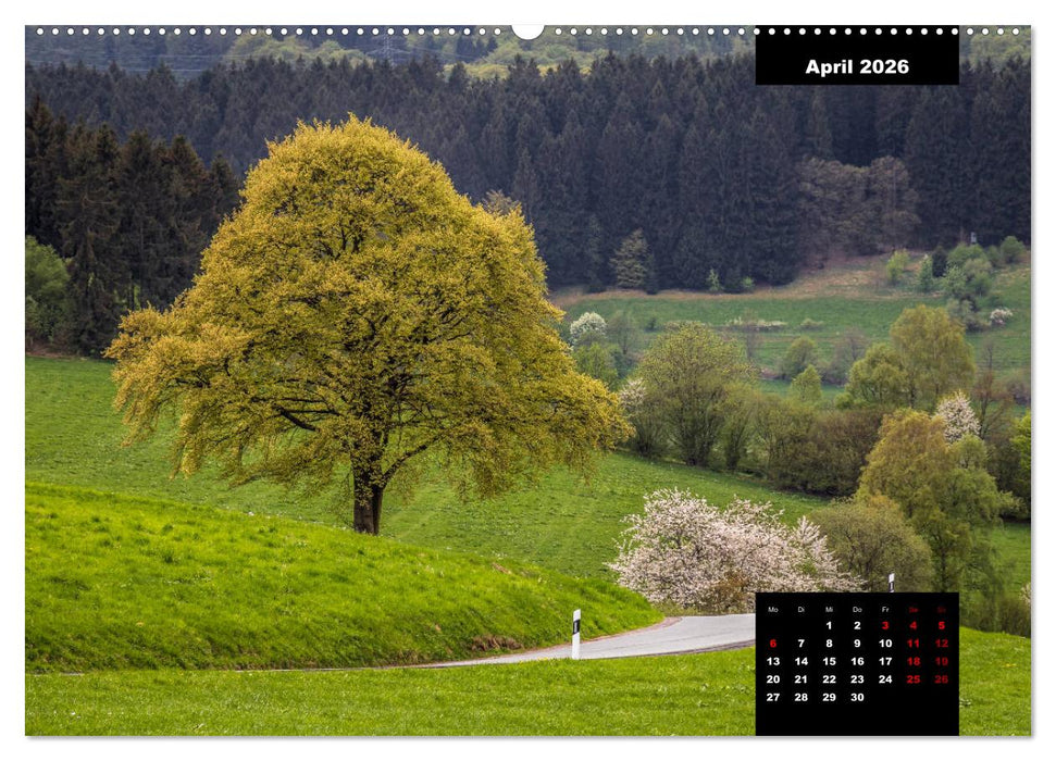 Malerisches Sauerland (CALVENDO Premium Wandkalender 2026)