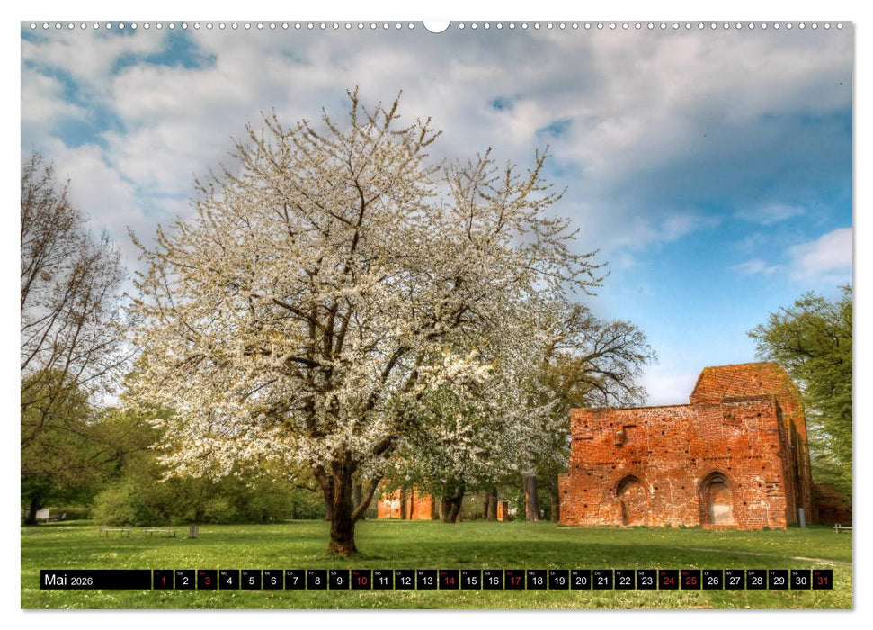 Greifswald, Bilder einer Stadt (CALVENDO Premium Wandkalender 2026)