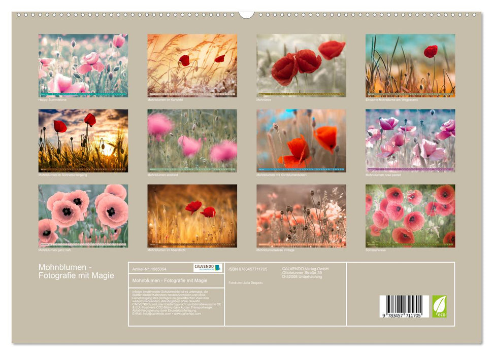 Mohnblumen - Fotografie mit Magie (CALVENDO Premium Wandkalender 2026)