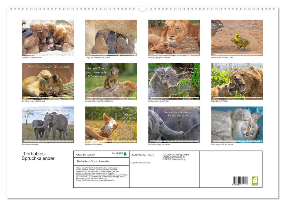 Tierbabies - Spruchkalender (CALVENDO Wandkalender 2026)
