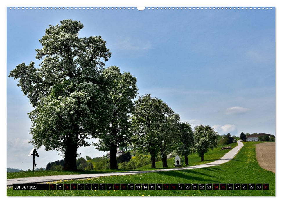 Frühling im Mostviertel (CALVENDO Premium Wandkalender 2026)