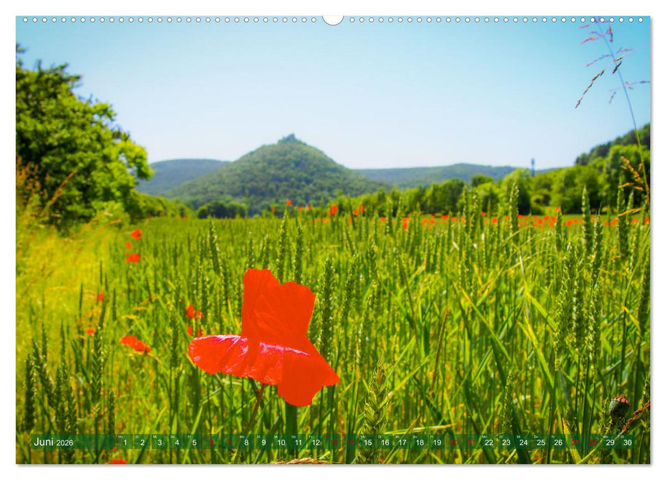 Wilde Schönheit - Raue Alb (CALVENDO Premium Wandkalender 2026)