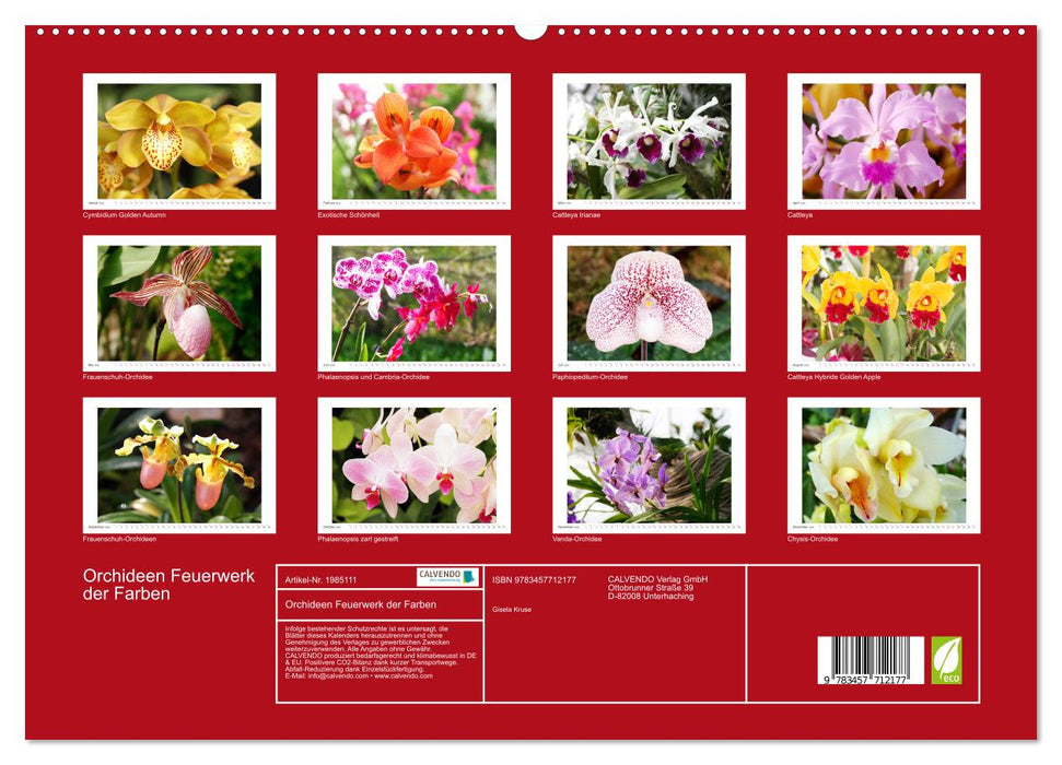 Orchideen Feuerwerk der Farben (CALVENDO Premium Wandkalender 2026)