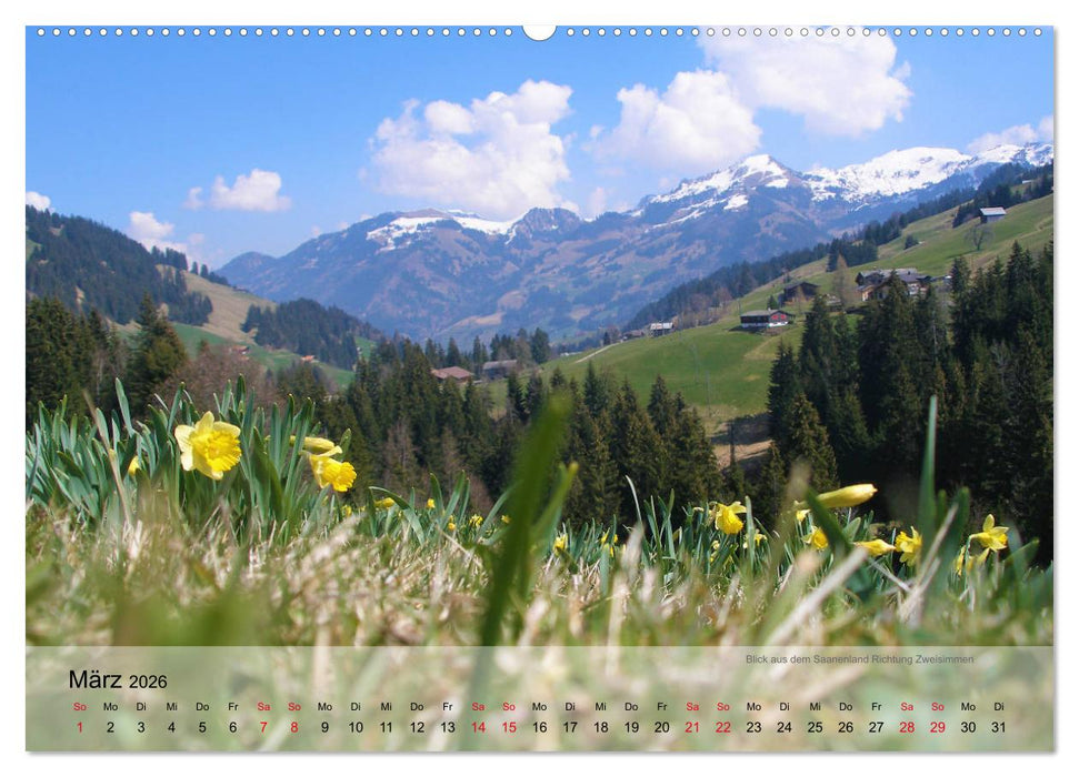 Saanenland. Ein Kalender aus dem Berner Oberland (CALVENDO Premium Wandkalender 2026)