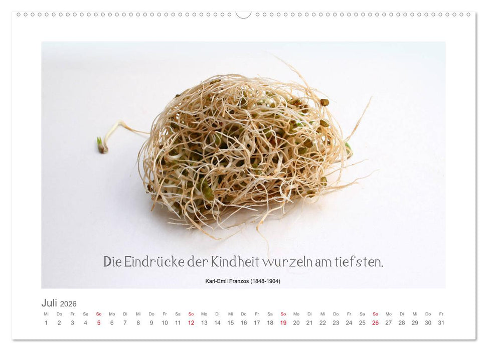 FunnyFood (CALVENDO Premium Wandkalender 2026)
