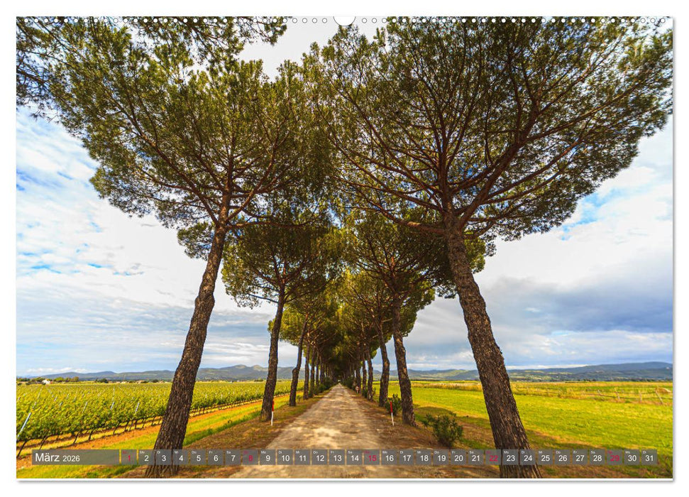 Impressionen toskanischer Landschaften (CALVENDO Wandkalender 2026)