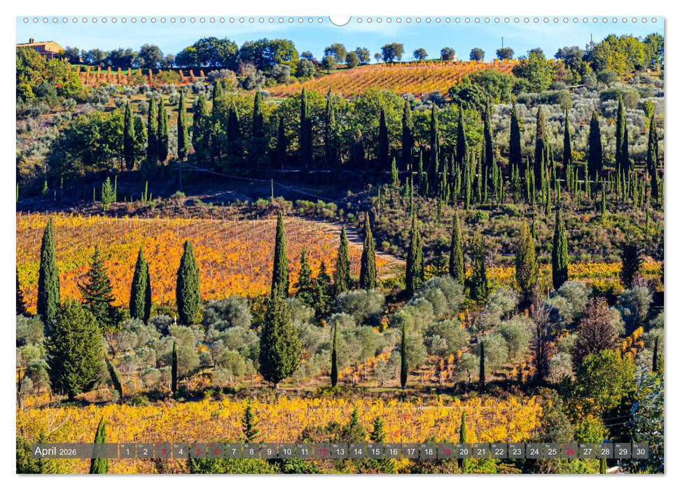 Impressionen toskanischer Landschaften (CALVENDO Wandkalender 2026)
