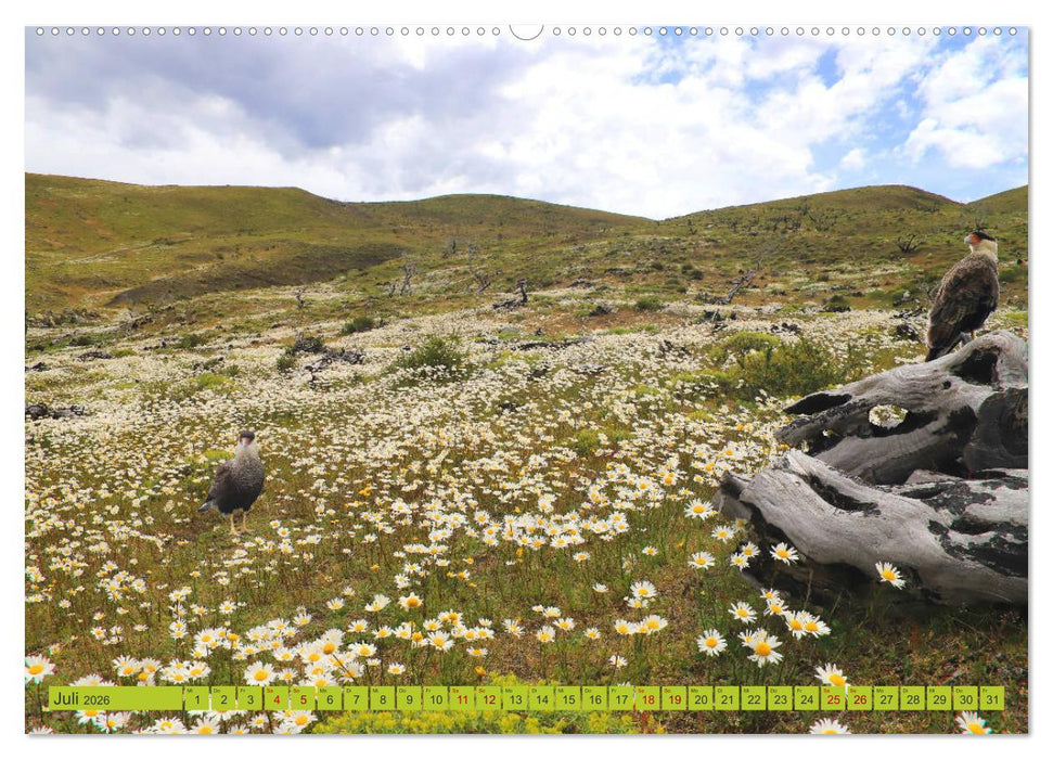 Märchenwelt Patagonien (CALVENDO Premium Wandkalender 2026)