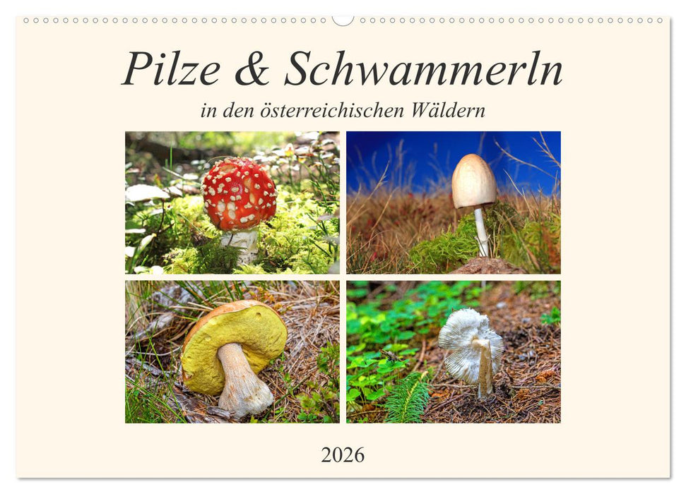 Pilze & Schwammerln (CALVENDO Wandkalender 2026)