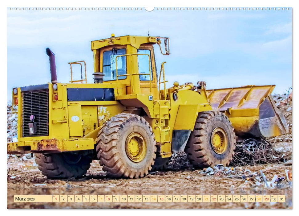 Radlader - flexibel, schnell und bärenstark (CALVENDO Premium Wandkalender 2026)