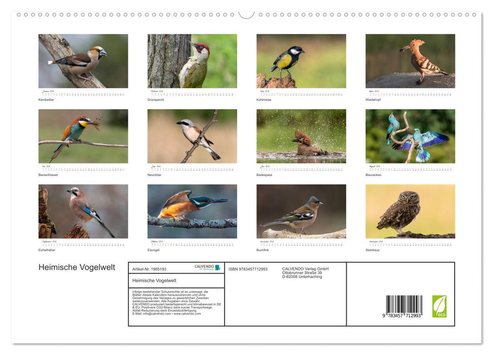 Heimische Vogelwelt (CALVENDO Premium Wandkalender 2026)