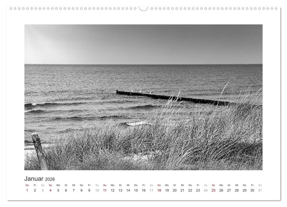 Monochrom Meer (CALVENDO Premium Wandkalender 2026)