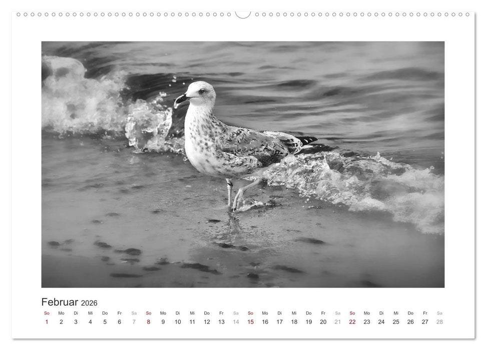 Monochrom Meer (CALVENDO Premium Wandkalender 2026)