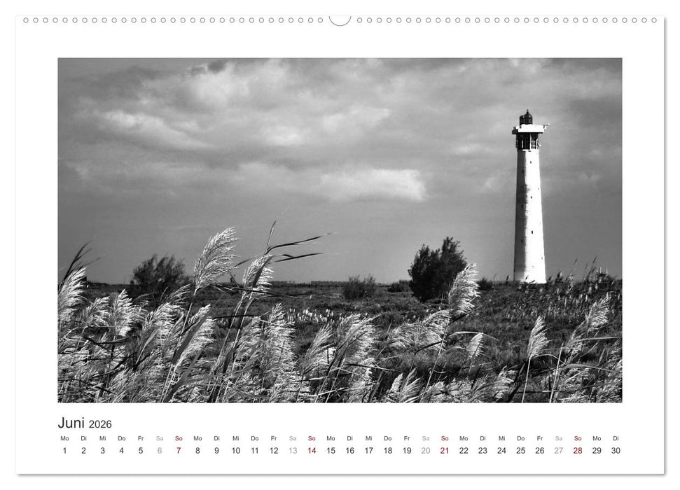 Monochrom Meer (CALVENDO Premium Wandkalender 2026)
