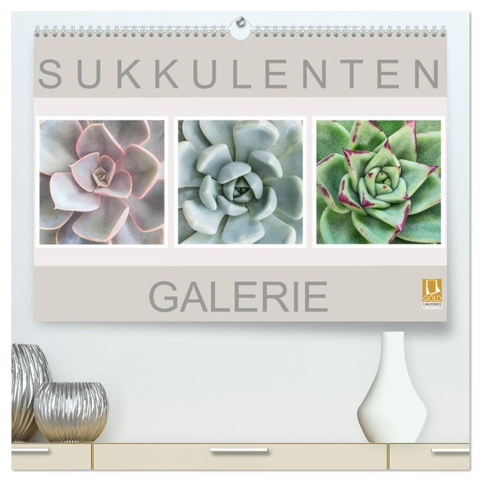 Sukkulenten Galerie (CALVENDO Premium Wandkalender 2026)