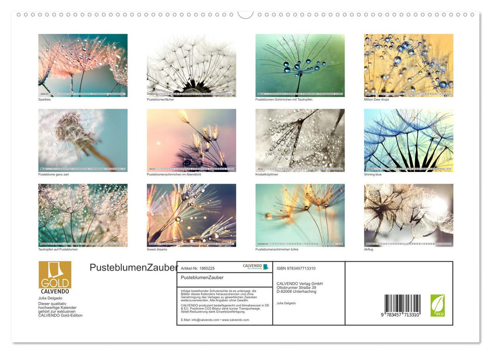 PusteblumenZauber (CALVENDO Premium Wandkalender 2026)