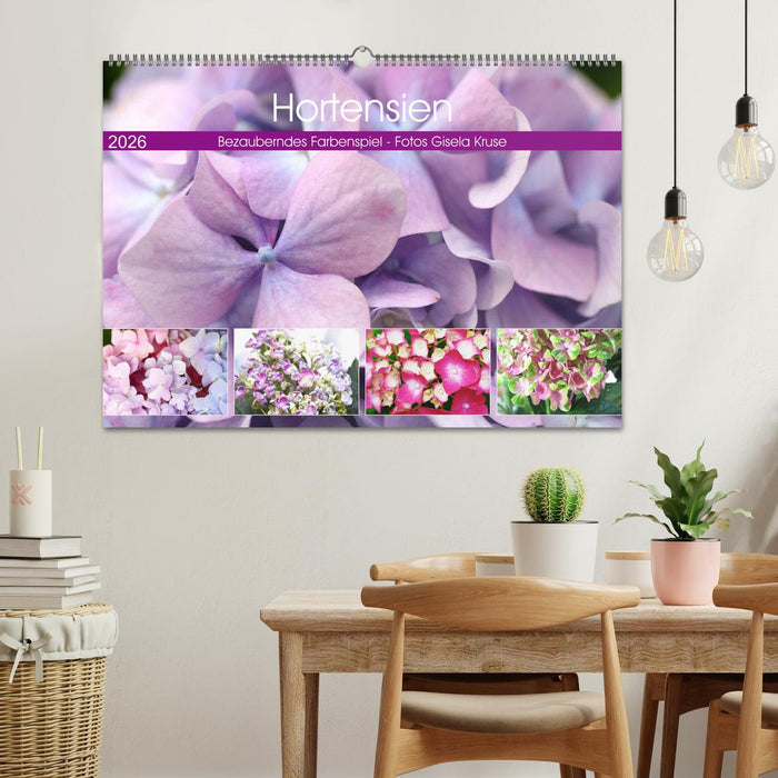 Hortensien Bezauberndes Farbenspiel (CALVENDO Wandkalender 2026)