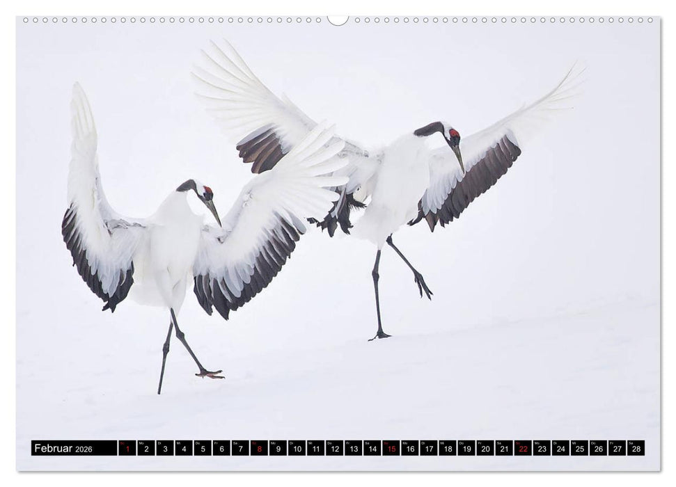 Japanische Vogelwelt im Winter (CALVENDO Premium Wandkalender 2026)
