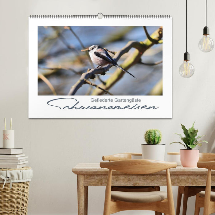 Gefiederte Gartengäste, Schwanzmeisen (CALVENDO Wandkalender 2026)