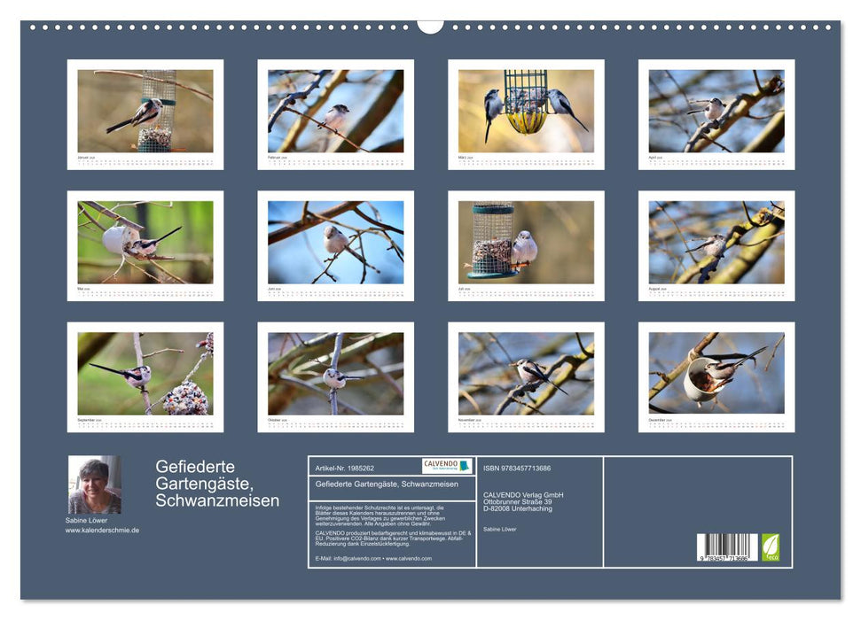 Gefiederte Gartengäste, Schwanzmeisen (CALVENDO Wandkalender 2026)
