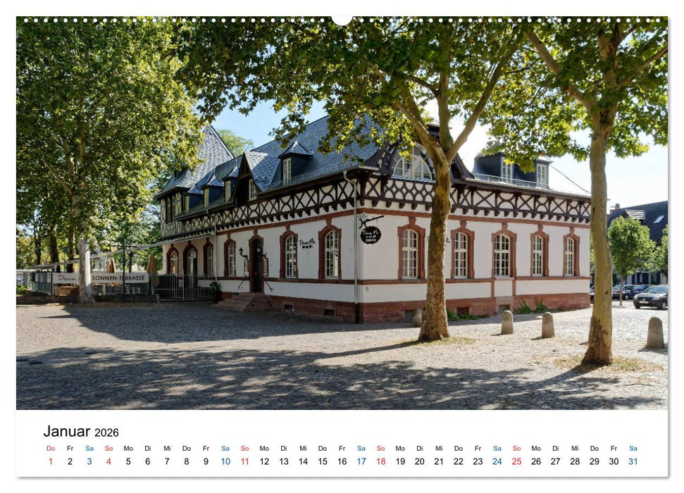 Speyer - Ansichtssache (CALVENDO Premium Wandkalender 2026)