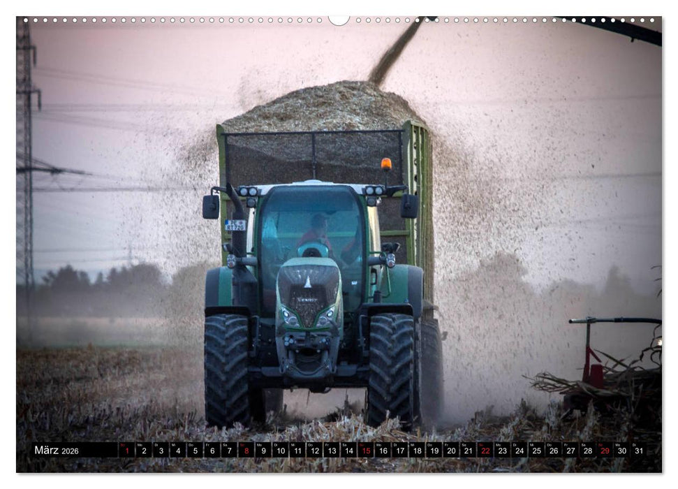 MAIS ERNTE (CALVENDO Premium Wandkalender 2026)