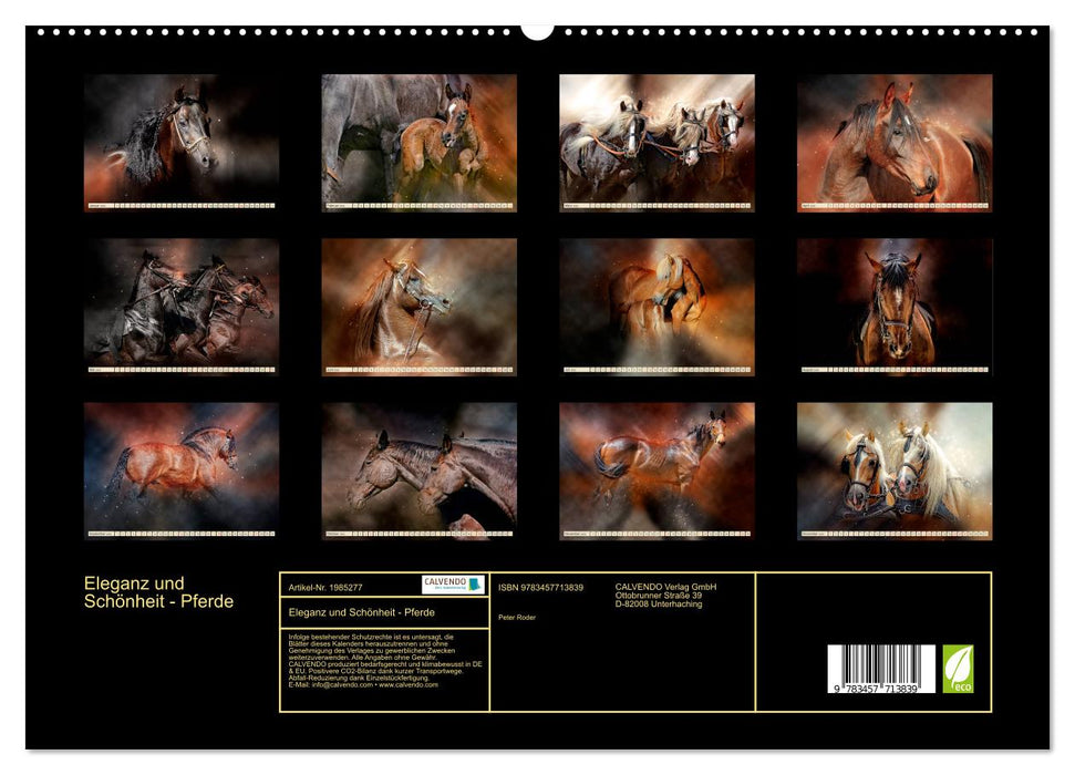 Eleganz und Schönheit - Pferde (CALVENDO Premium Wandkalender 2026)