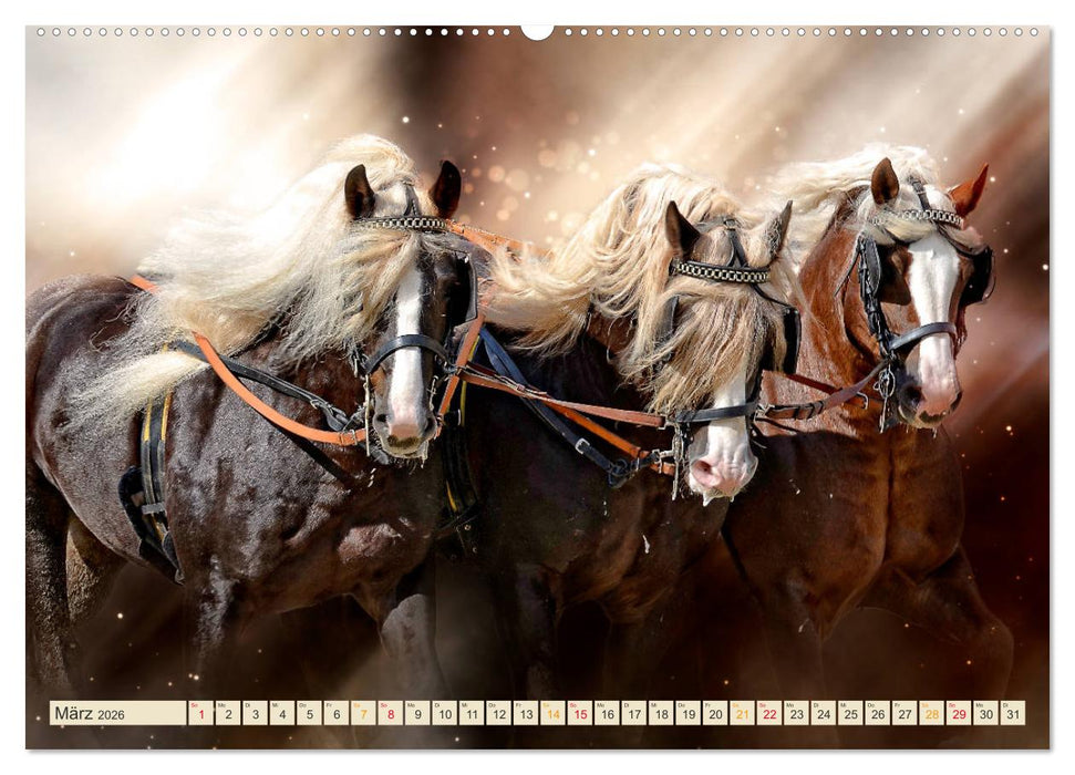 Eleganz und Schönheit - Pferde (CALVENDO Premium Wandkalender 2026)