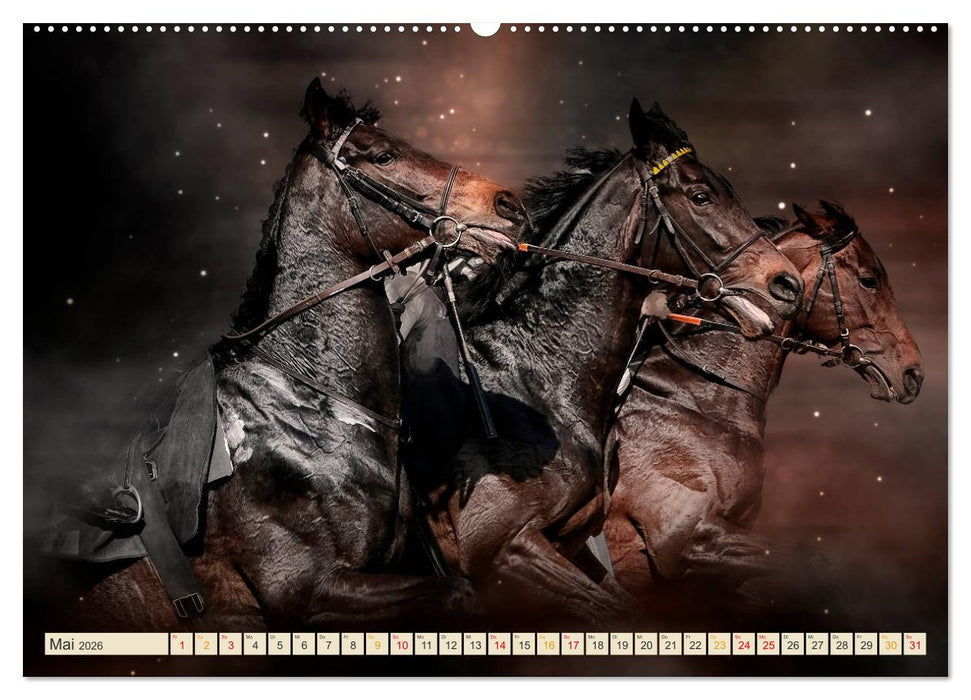 Eleganz und Schönheit - Pferde (CALVENDO Premium Wandkalender 2026)