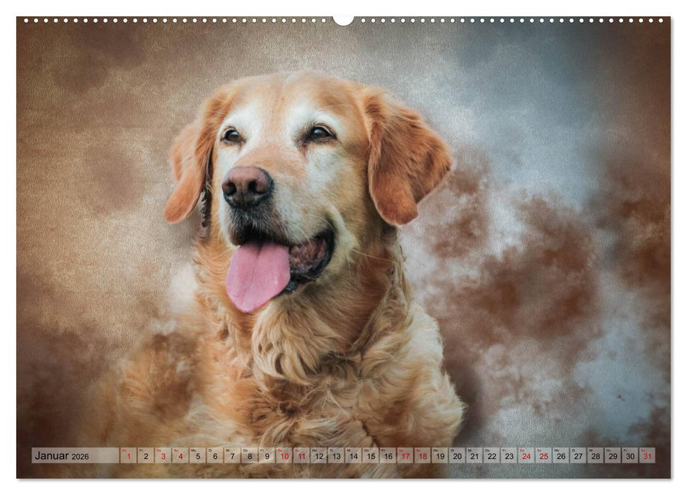 Jagdhunde im Portrait (CALVENDO Premium Wandkalender 2026)