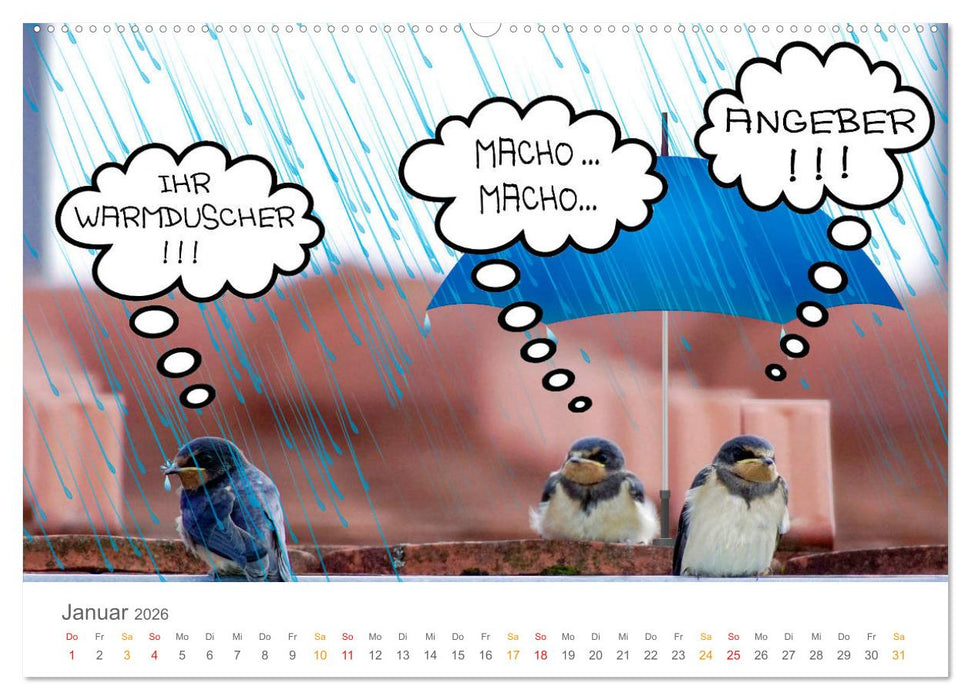 Wenn Schwalben reden (CALVENDO Premium Wandkalender 2026)