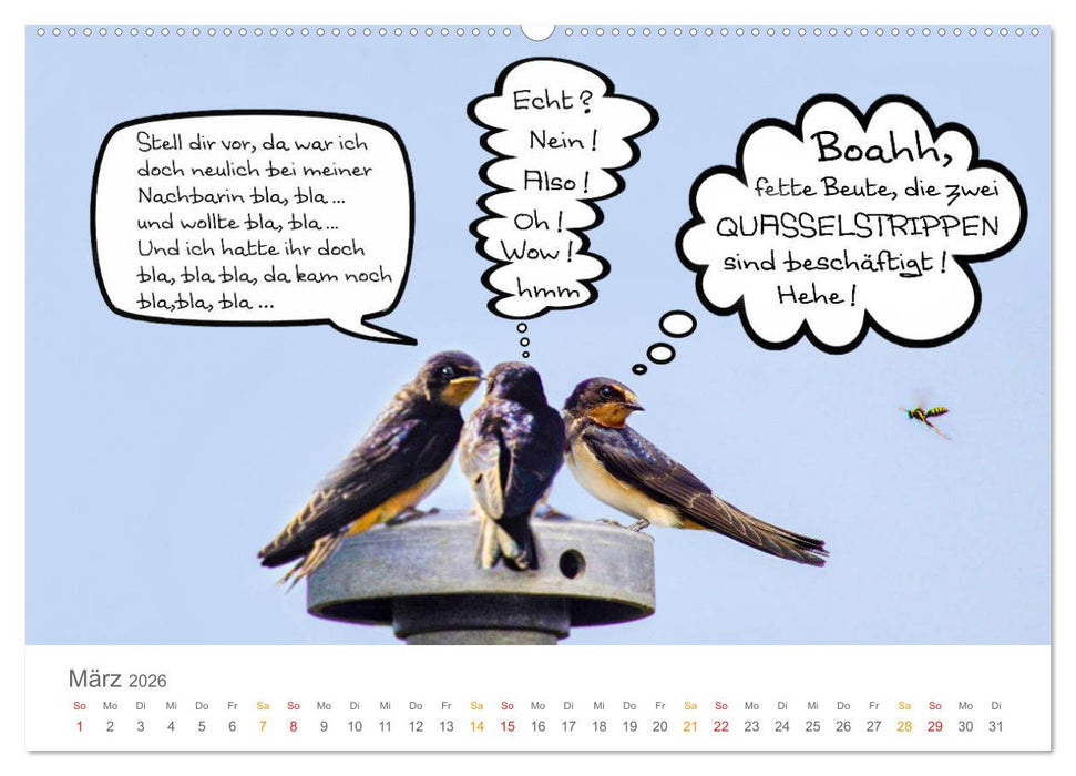 Wenn Schwalben reden (CALVENDO Premium Wandkalender 2026)