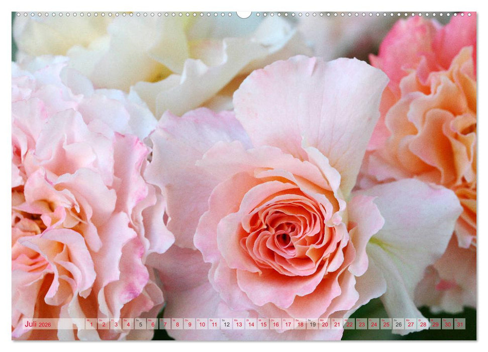 Stolze Rosen (CALVENDO Premium Wandkalender 2026)