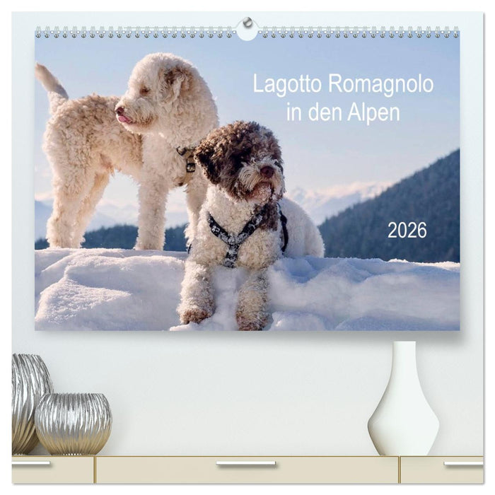 Lagotto Romagnolo in den Alpen 2026 (CALVENDO Premium Wandkalender 2026)